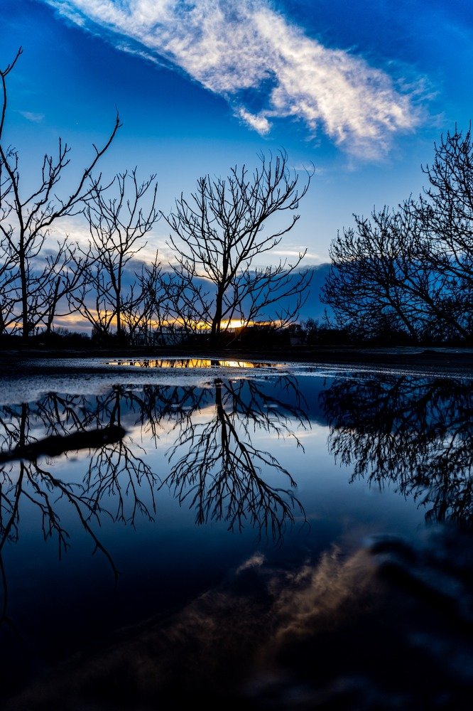 on an abandoned roof