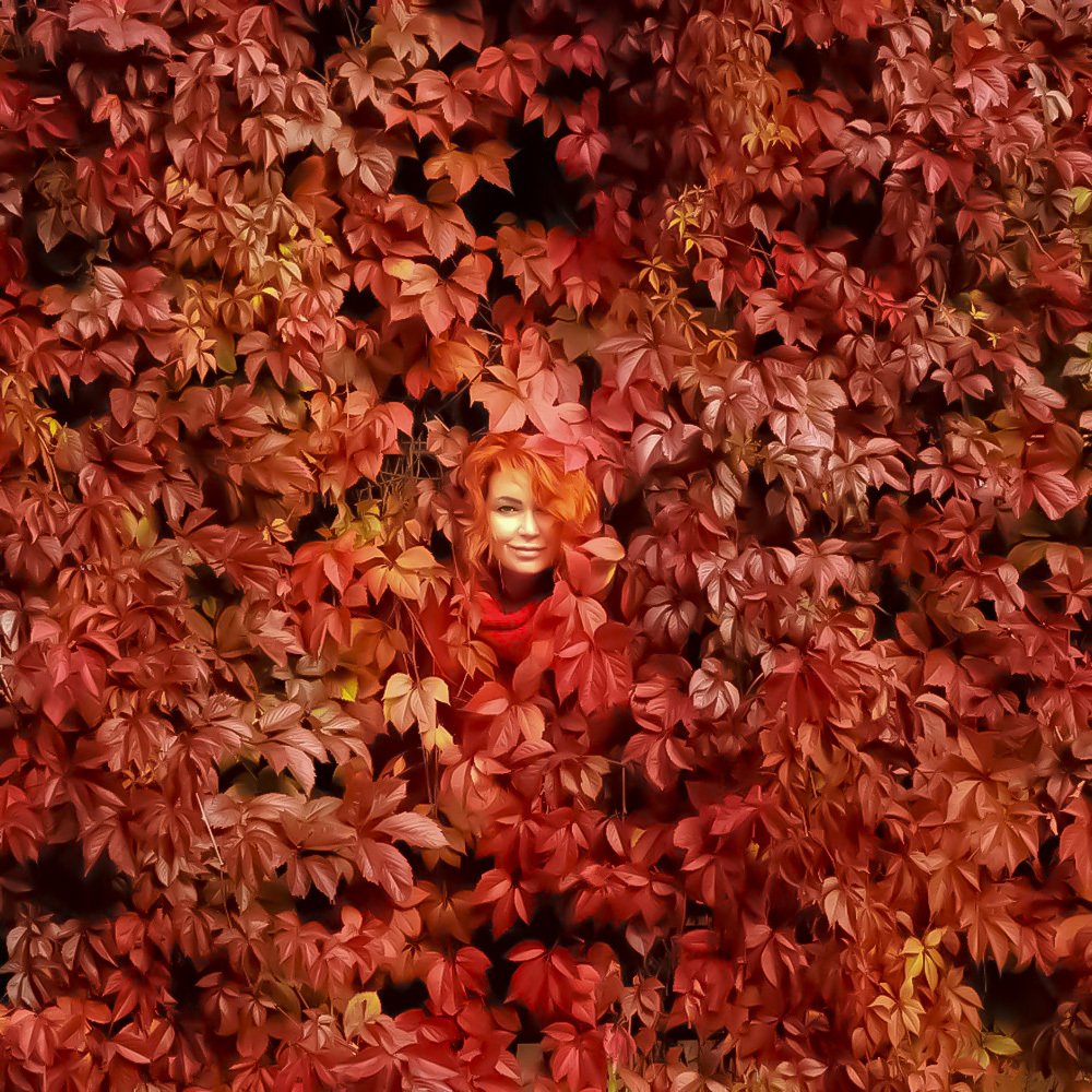 Photograph by Дмитрий Потапов