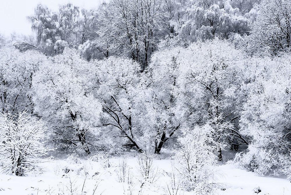 Photograph by Дмитрий Потапов