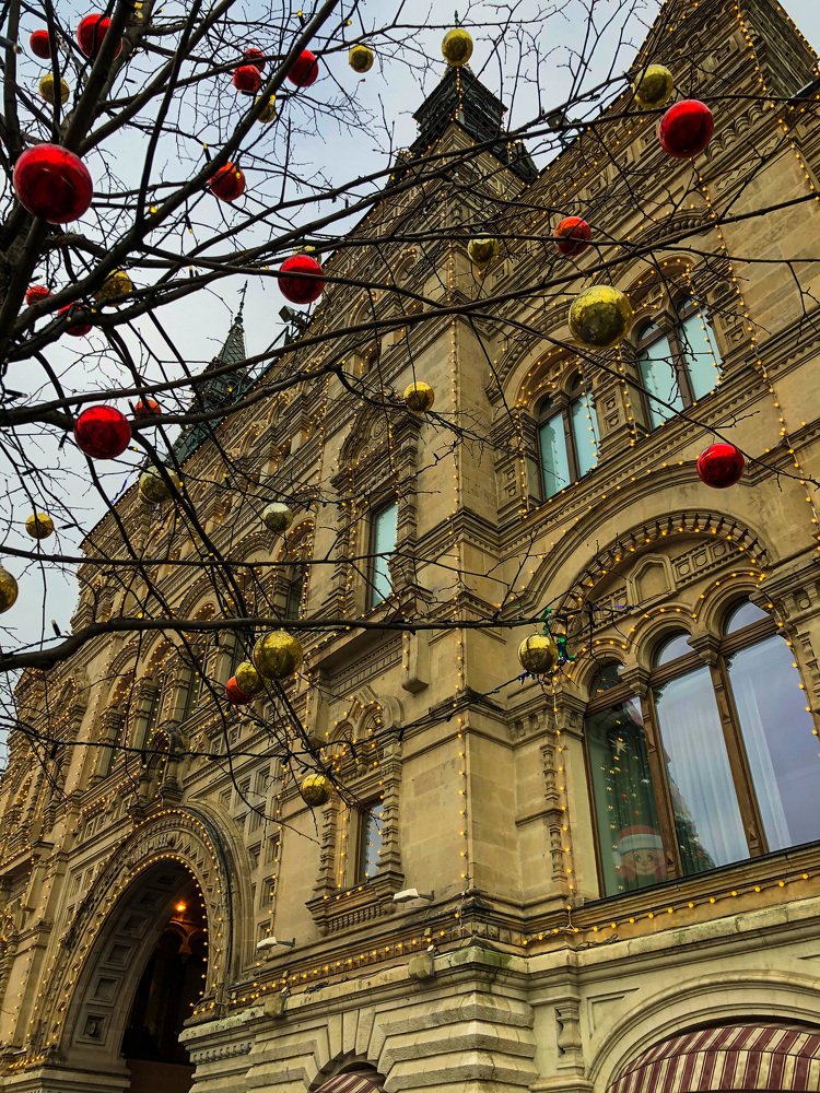 Photograph by Алена Жирова