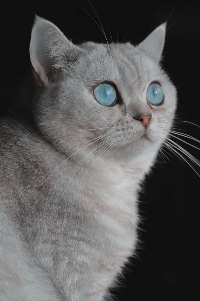 Photograph by Olesya Asbury