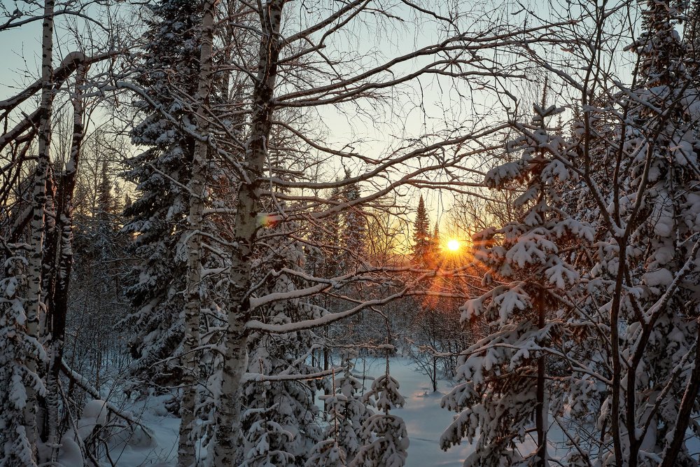 Photograph by Михаил Рогачев