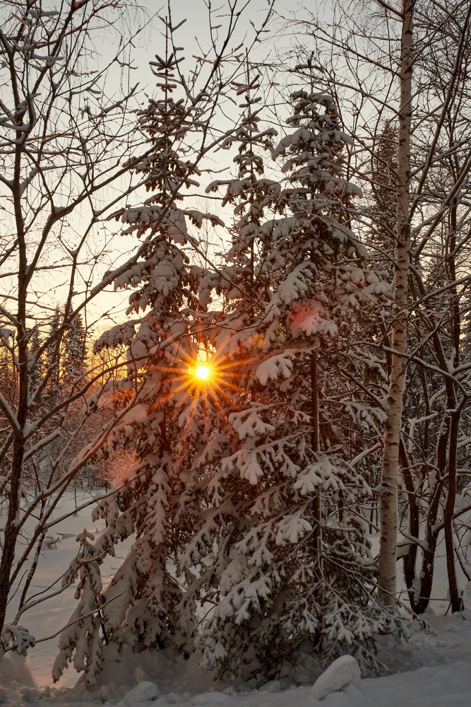 Photograph by Михаил Рогачев