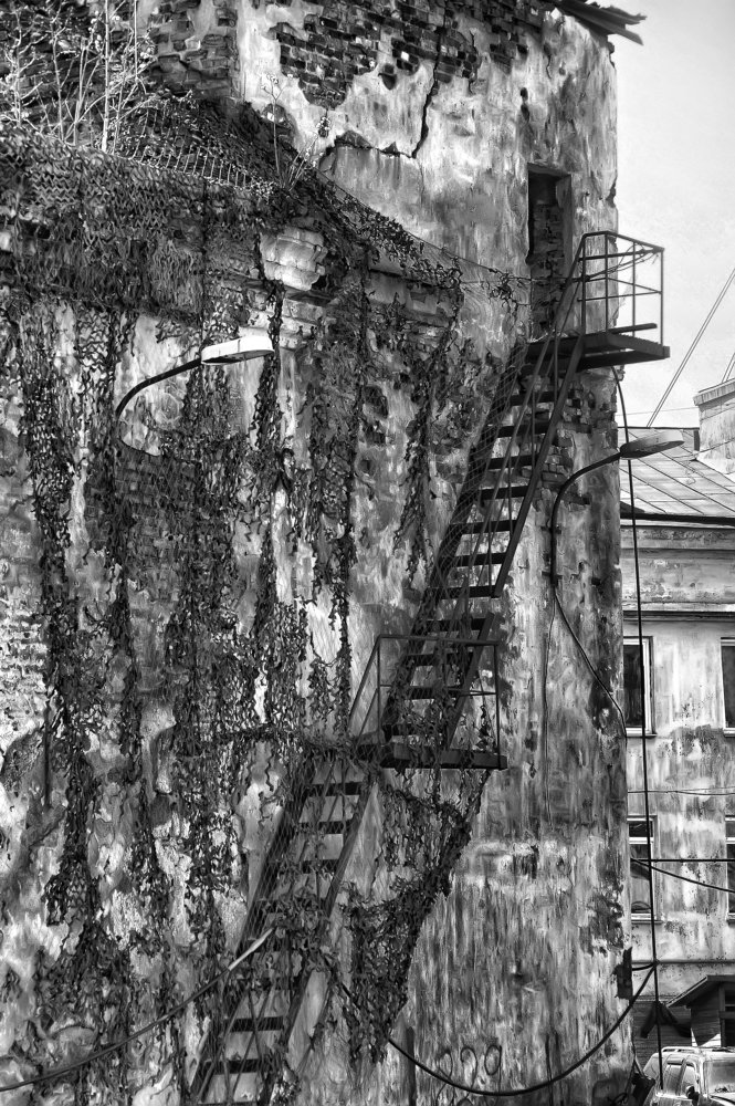 Photograph by Анна Кривицкая