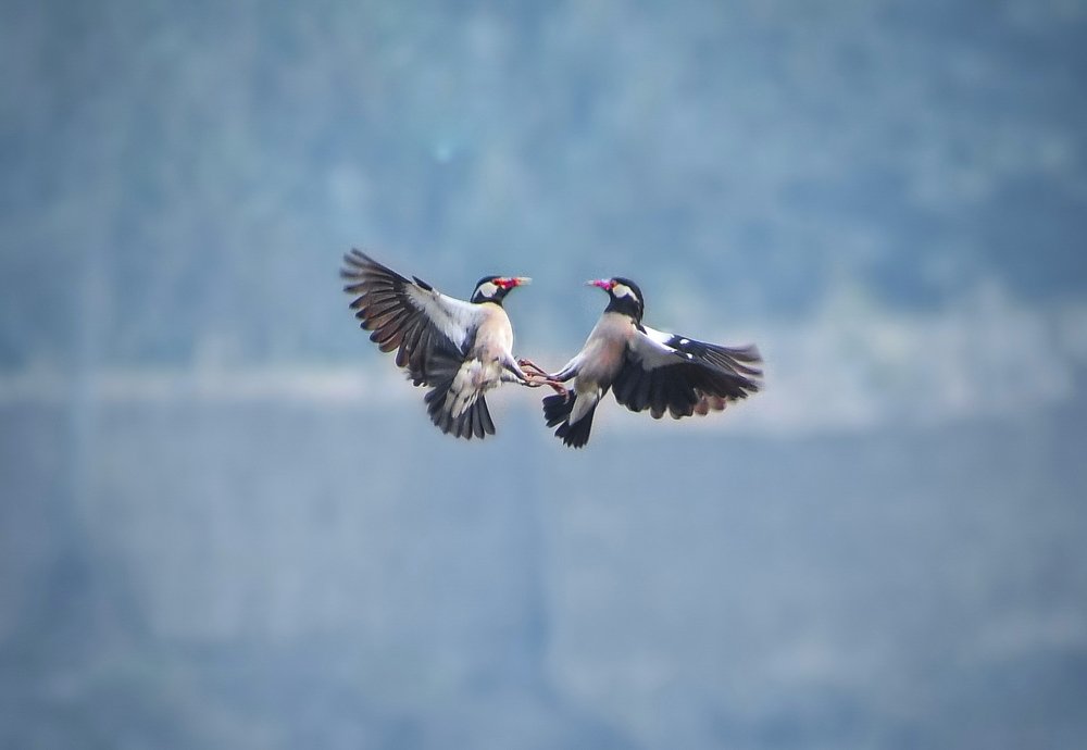 Photograph by Masum Mr