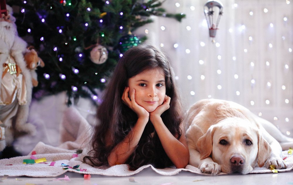 Photograph by Мария Кривошеенкова