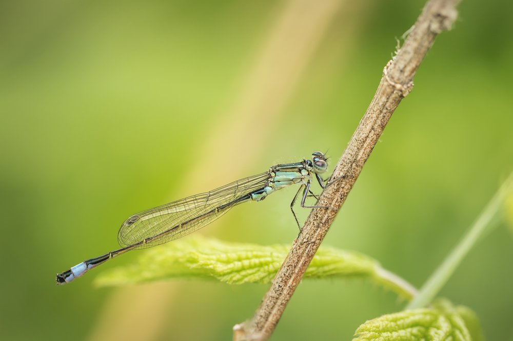 Photograph by Марина Хилько