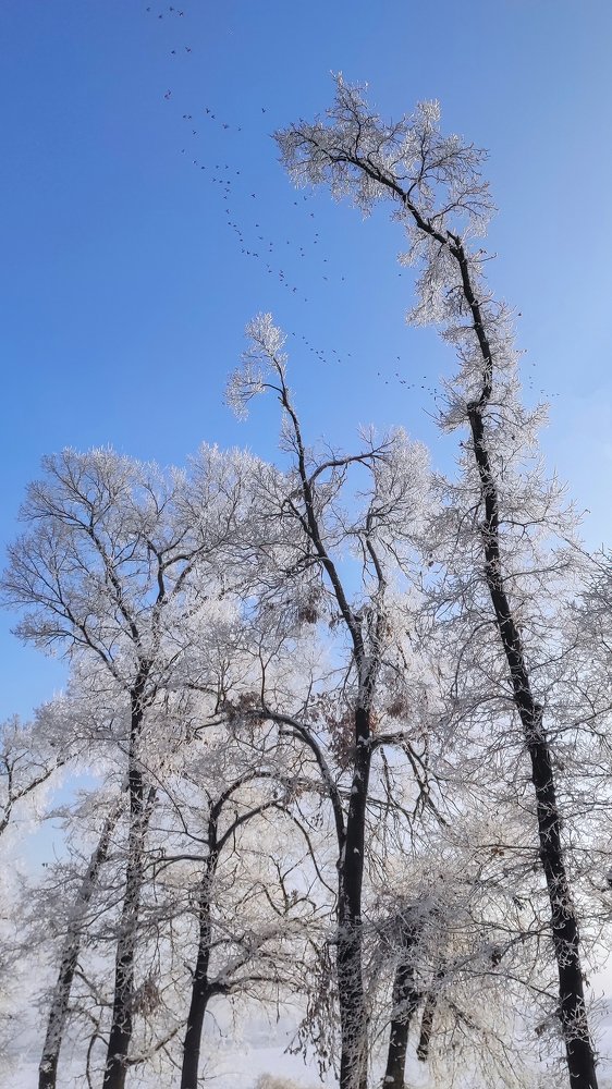 Photograph by Ислам Мирсаитов