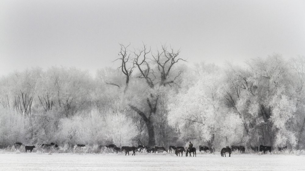 Photograph by Ислам Мирсаитов