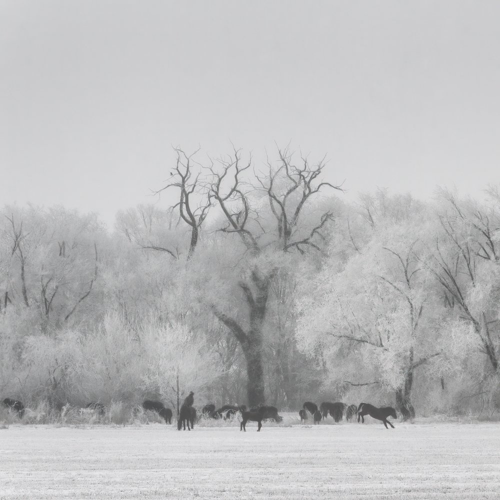 Photograph by Ислам Мирсаитов