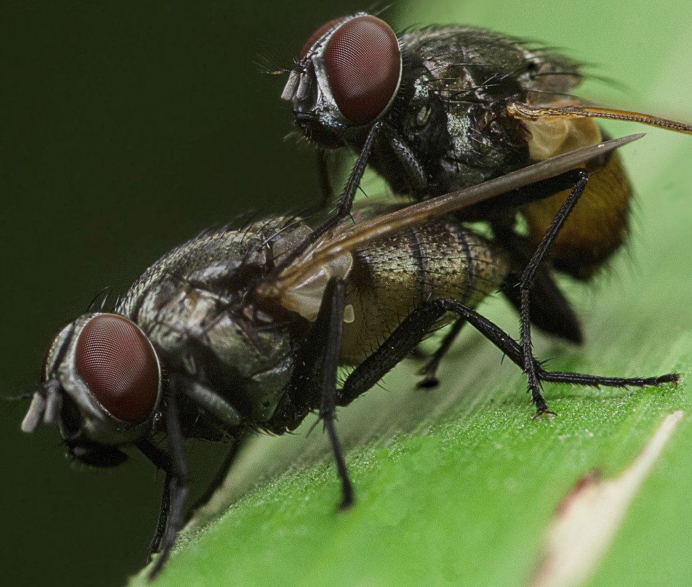 Photograph by M Y Dogar