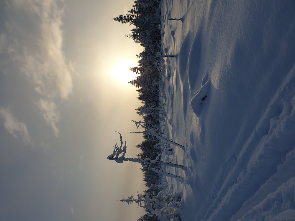 Photo #5489961