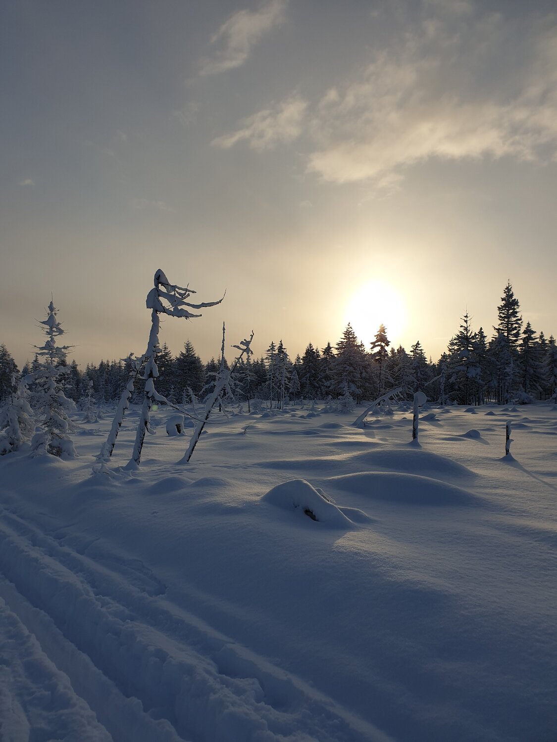 Photo #5489961