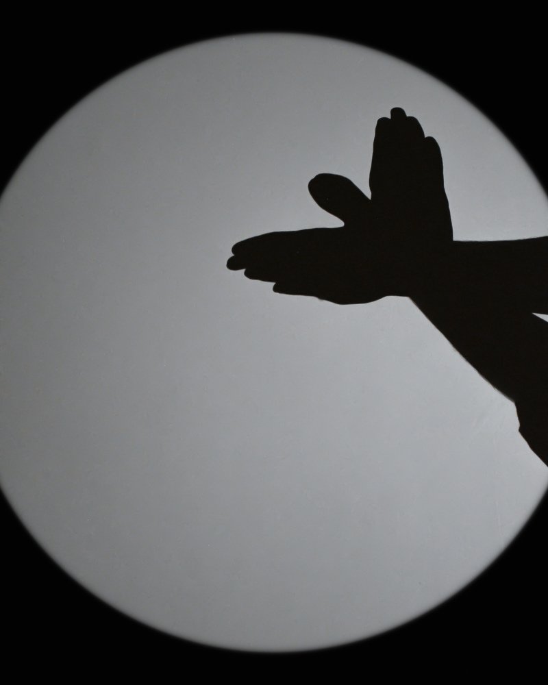 Photograph by Aqsa Masood