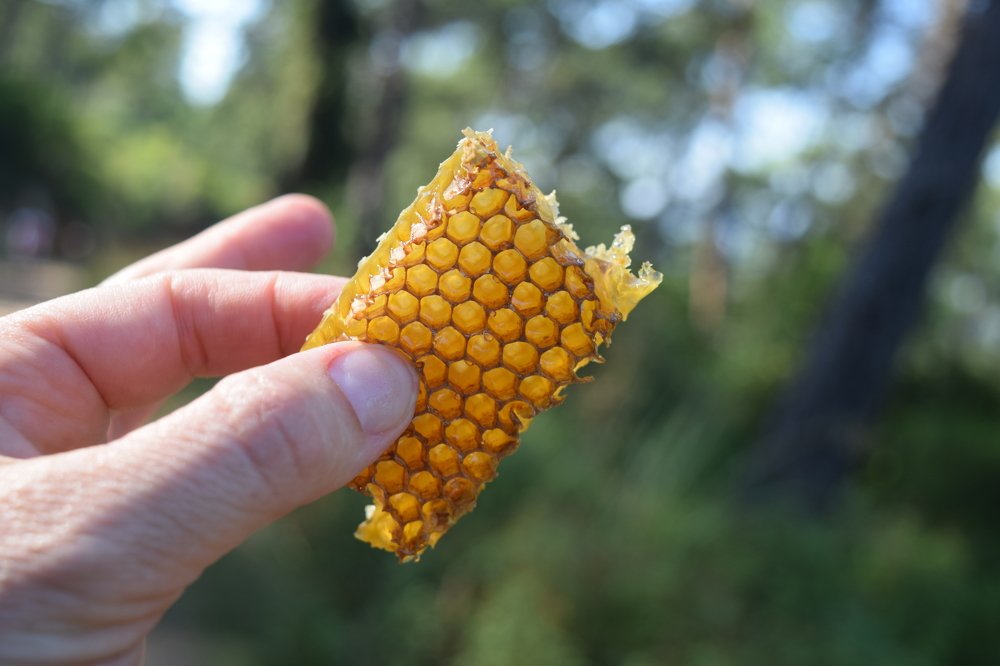 Photograph by Ирина Онер