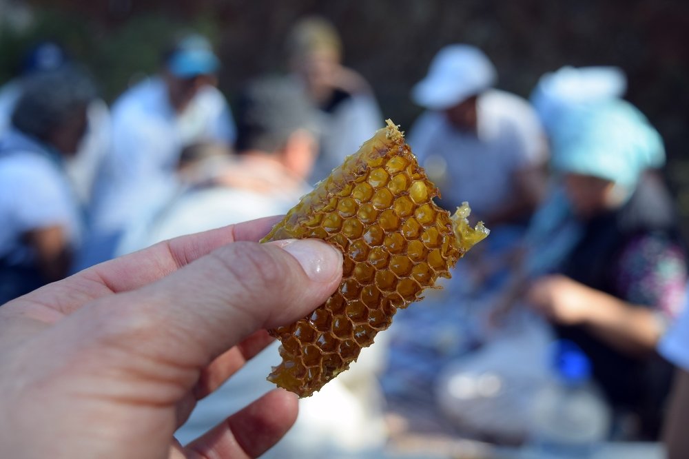 Photograph by Ирина Онер