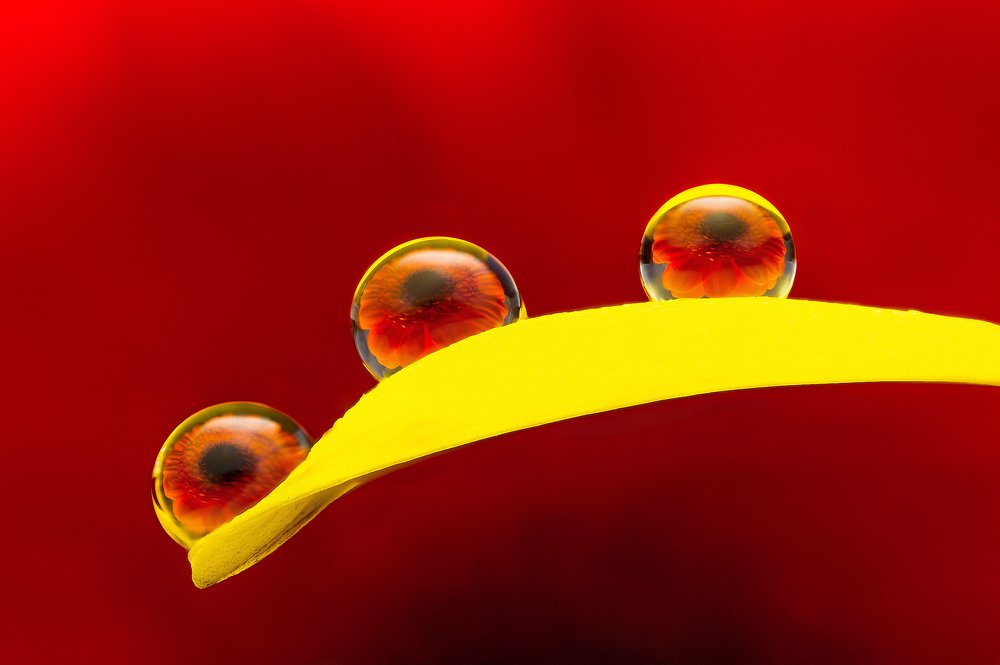 Фотография автора Иван Радьков