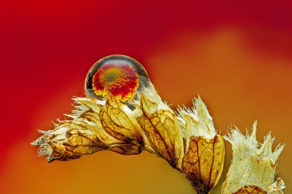 Photograph by Иван Радьков