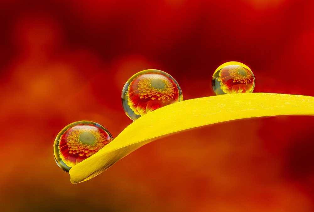 Photograph by Иван Радьков