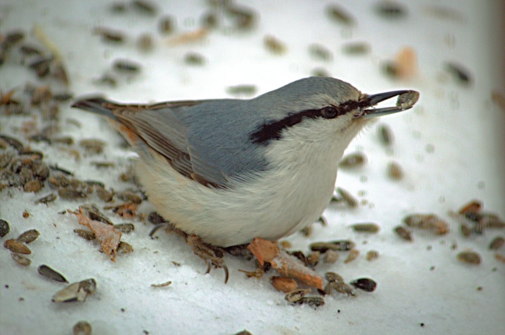 Photograph by Риф