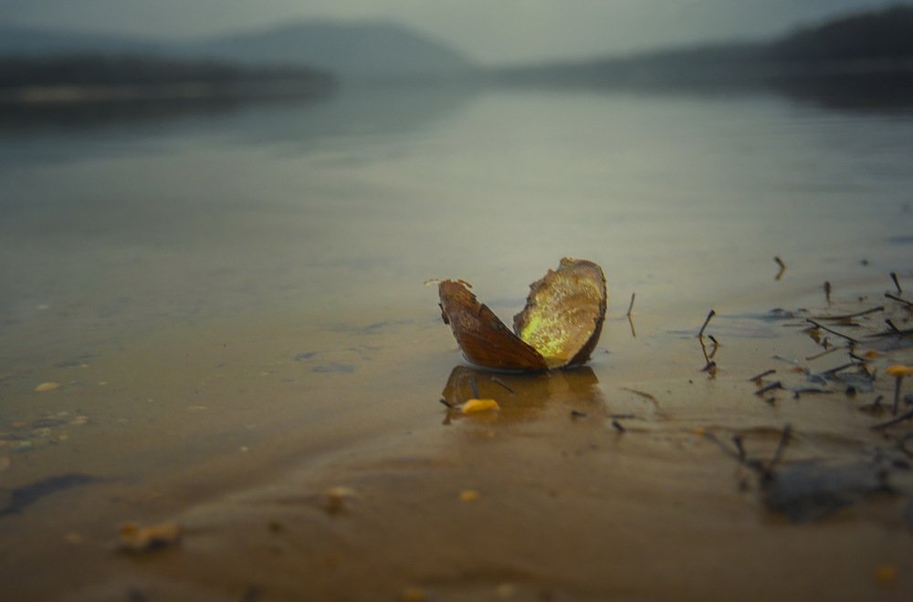 Фотография автора Gabor Dvornik