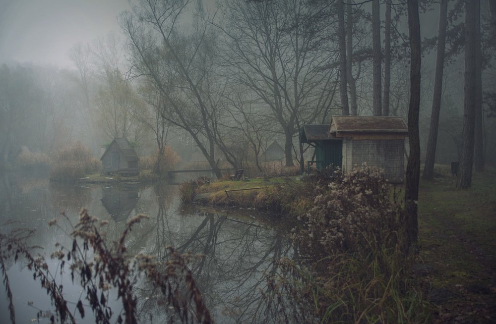 Фотография автора Gabor Dvornik