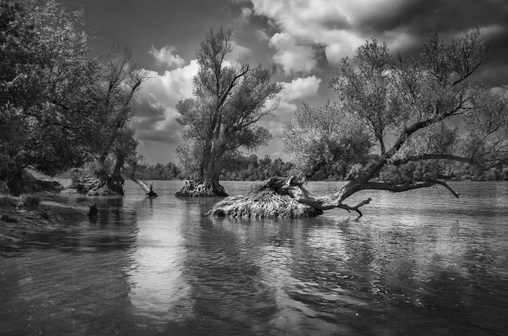 Фотография автора Gabor Dvornik