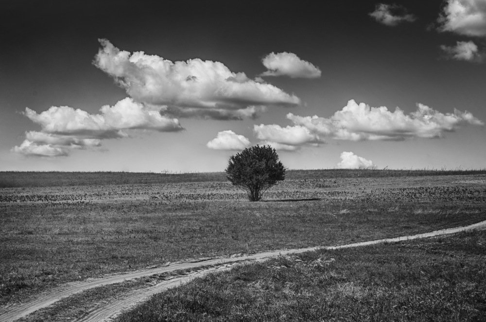 Фотография автора Gabor Dvornik