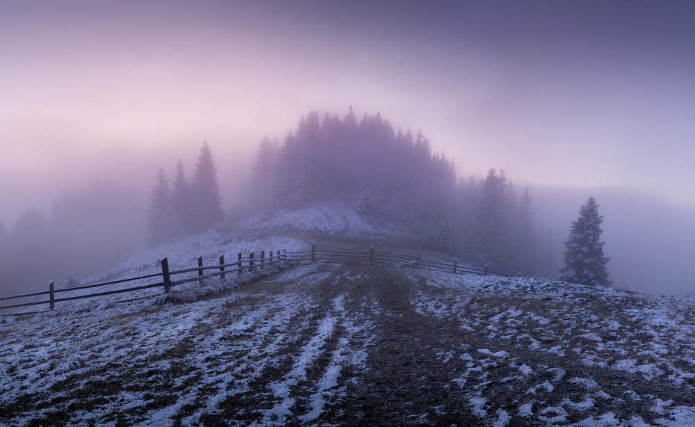 Photograph by Julia Opilat