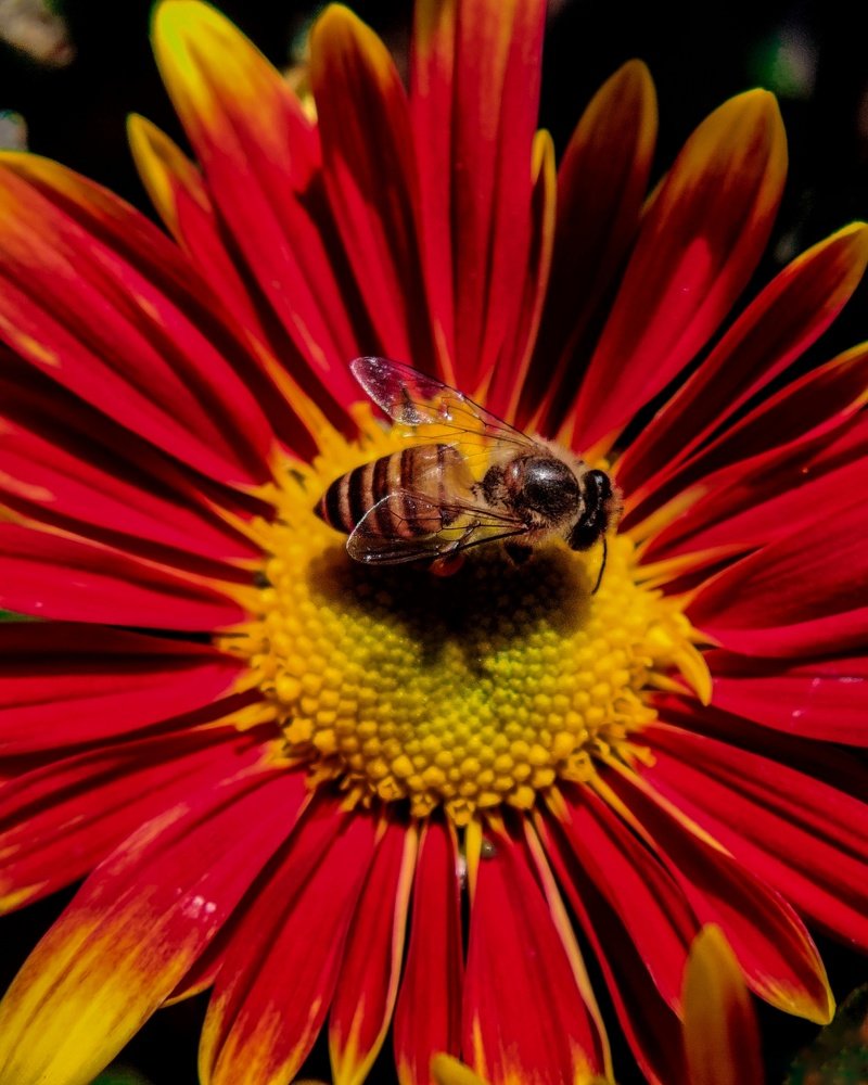 Photograph by Tanya Saxena