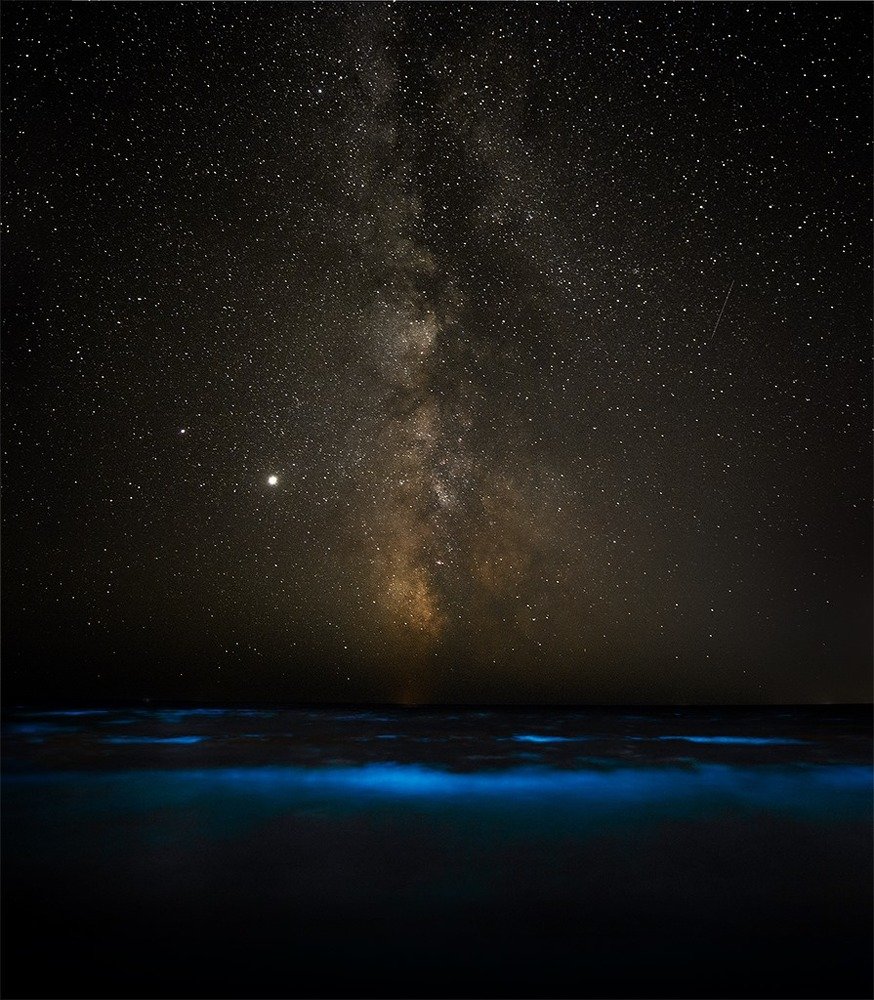 Photograph by Julia Opilat