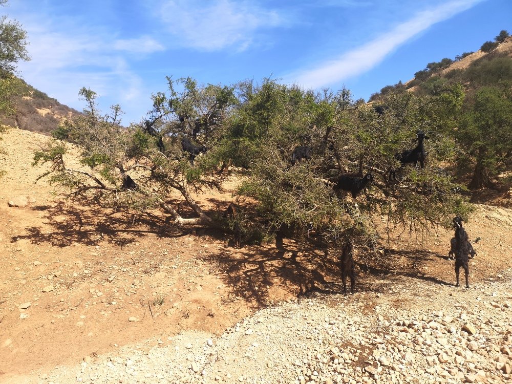 Photograph by Елена Соболева