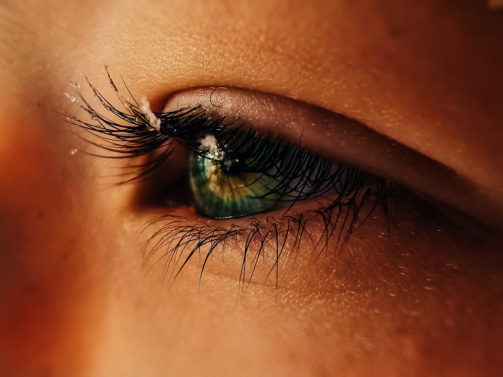 Photograph by Светлана