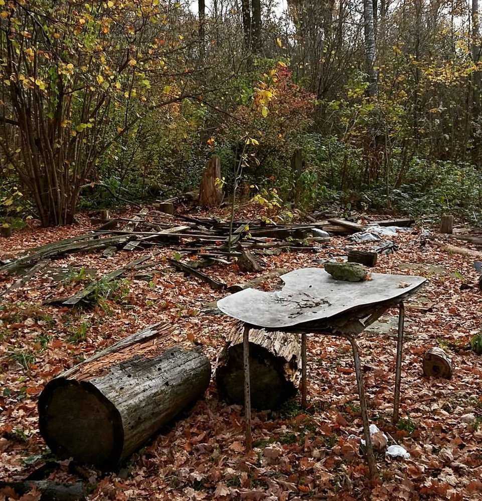 autumn - осень