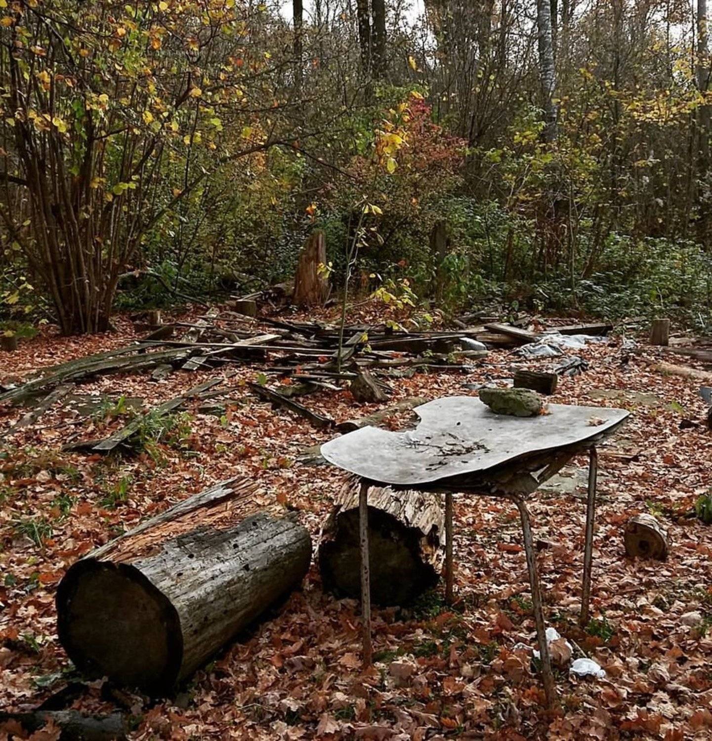 autumn - осень