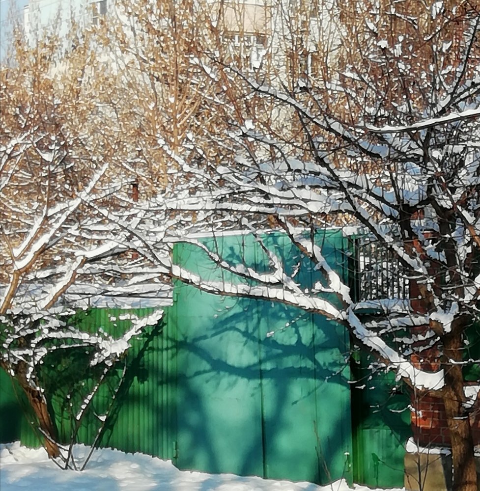 Снежное кружево