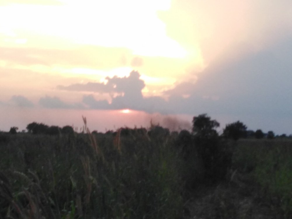 Photo #5490511