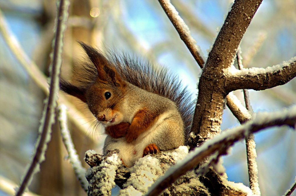 Photograph by Риф