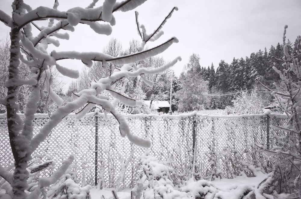 Фотография автора Ольга Шкотова
