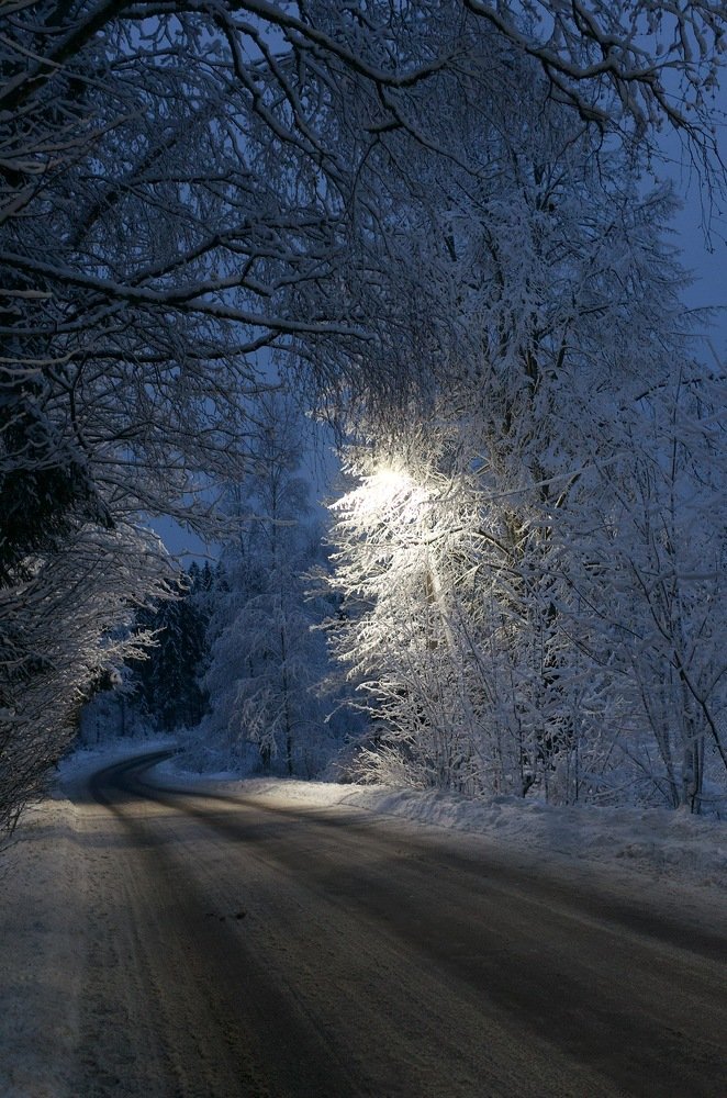 Фотография автора Ольга Шкотова