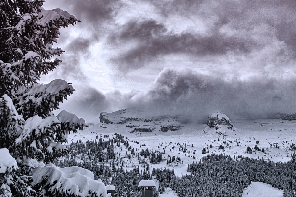 Photograph by Владимир Гречанинов