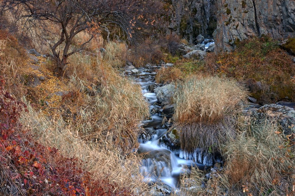 Осень на реке \