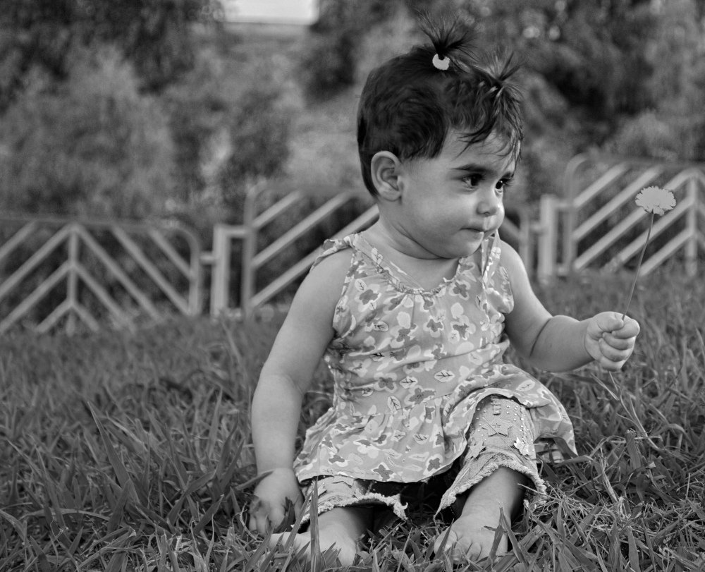 Photograph by Alireza Yousofvand