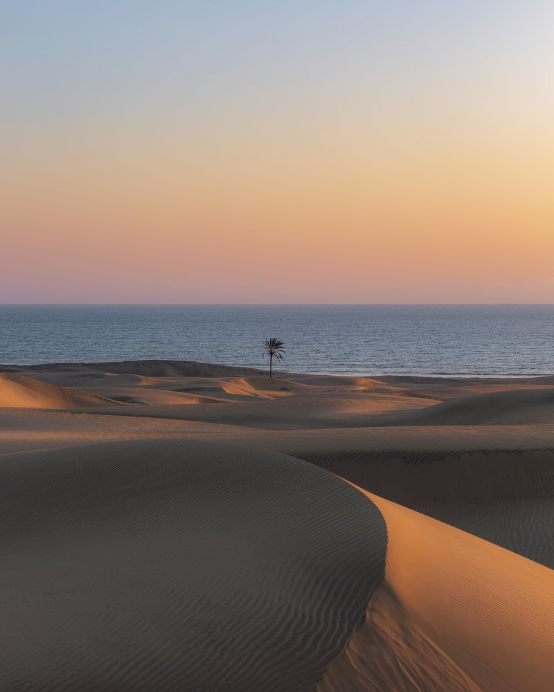 Photograph by abdorahman azizi