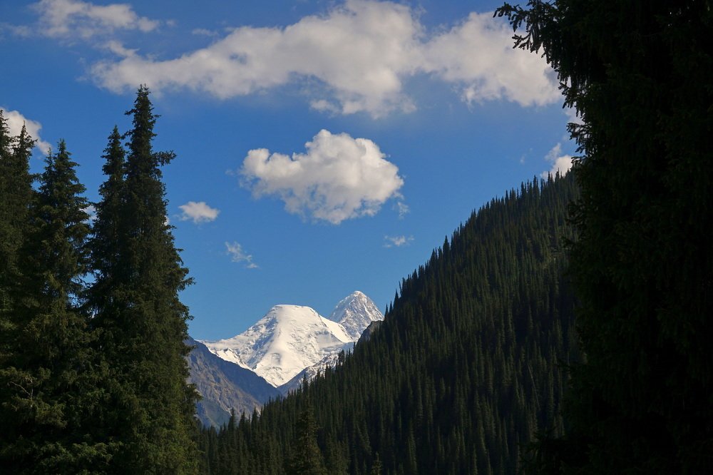 Северный Тянь Шань.