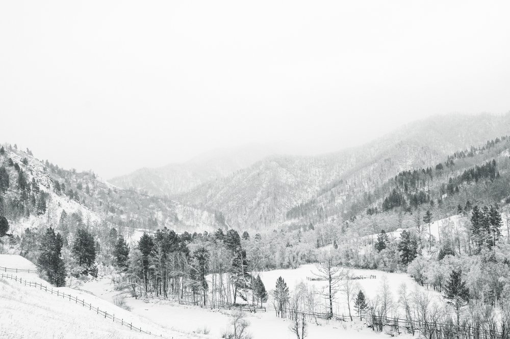 Photograph by Кристина Сотникова