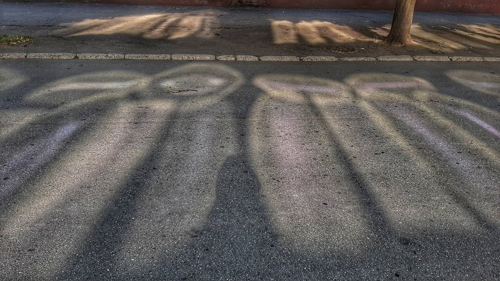 Фотография автора Светлана Груньковская