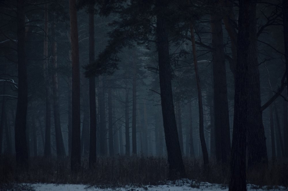 Photograph by Кристина Сотникова