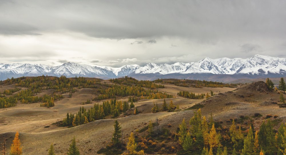 Photograph by Кристина Сотникова