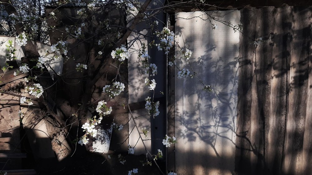 Фотография автора Светлана Груньковская